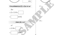 AdvancedCompleteMathSmartGr8_Page_3.jpg