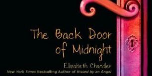TheBackDoorofMidnight.jpg